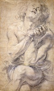 Joven masculino sentado (Estudio para Daniel) de Peter Paul Rubens