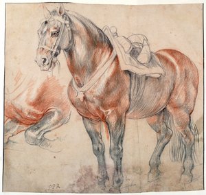 Un caballo ensillado de Peter Paul Rubens
