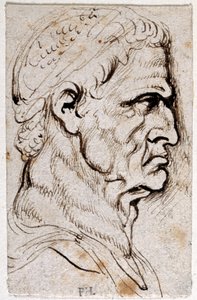 Vespasiano, de diez dibujos de ocho de los primeros doce Césares, después de las medallas de Giovanni da Cavino de Peter Paul Rubens