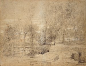 Escena del Bosque de Peter Paul Rubens