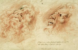 Dos estudios de la cabeza del Laocoonte de Peter Paul Rubens