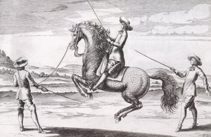 Ilustración de un caballo en Croupade del Nuevo Tratado para la Cría de Caballos escrito por Winters, Stuterey y Reit-Schul, pub. 1672 de Peter Paul Troschel