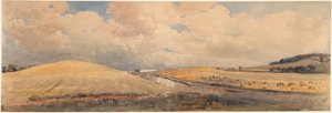 Campos de maíz cerca de la estación de Tring, Hertfordshire de Peter de Wint