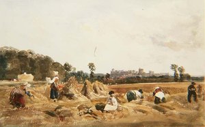 Campo de maíz, Windsor de Peter de Wint