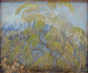 Mimosa de Petr Savvic Utkin