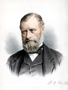 William Edward Forster, político liberal británico, c1890 de Petter and Galpin Cassell