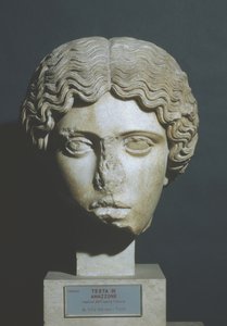 Cabeza de Amazonas de Phidias Phidias