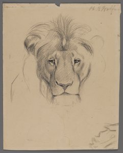 Cabeza de un león de Philip H. Wolfrom