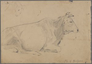 Toro sentado de Philip H. Wolfrom