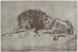 Rembrandt, un león