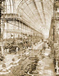 El interior de la nave tomada desde la galería sobre el biombo de la reina en el extremo sur c.1859 (foto b/n) de Philip Henry Delamotte
