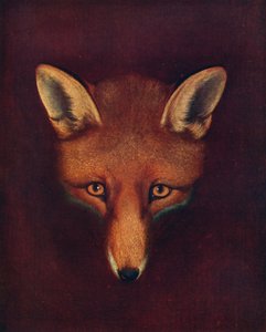 Renard el zorro, c1800, 1922 de Philip Reinagle