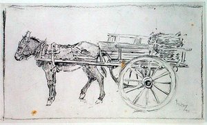 Burro y carro