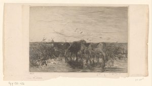 Vacas cerca del agua en un prado
Vaches au bord de l