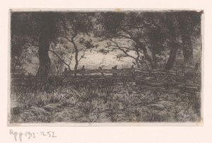 Pradera con valla y árboles
Kranenburg (título original)