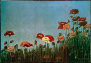 Amapolas