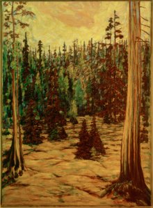 Bosque de verano