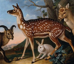 gamos, cabras montesas y liebres de Philipp Ferdinand de Hamilton