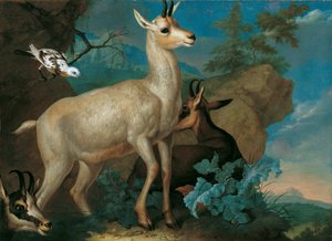 Tres rebecos y un mirlo de Philipp Ferdinand de Hamilton