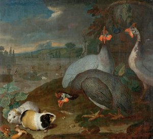 Gallina de Guinea con cuyes de Philipp Ferdinand de Hamilton