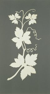 Planta de lúpulo de Philipp Otto Runge