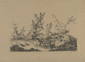 Estudio de paisaje con cardos y ranas de Philippe Cardon