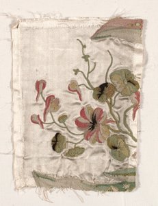Fragmento de cubierta