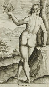  de Philips Galle