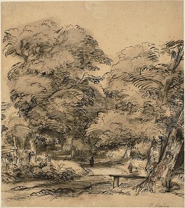 Un camino en el bosque