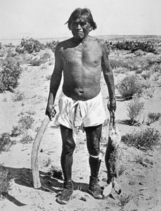 Cazador Hopi de Photographer American