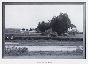 Una granja de caña cerca de Mackay