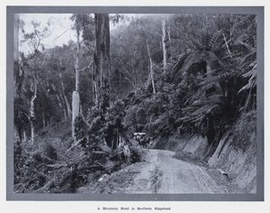 Una carretera de montaña en el sur de Gippsland