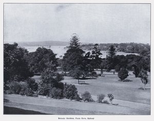 Jardines Botánicos, Farm Cove, Sídney de Photographer Australian