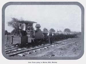 Tren de caña yendo al molino Marian, Mackay