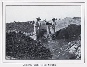 Recolección de guano en los Abrolhos