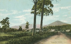 Healesville, Victoria, Australia (foto a color) de Photographer Australian