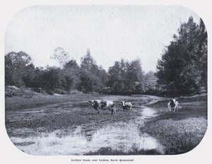 Lockyer Creek, cerca de Laidley, sur de Queensland de Photographer Australian