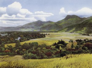 Queensland, Australia: Tierras de Azúcar en Mossman de Photographer Australian