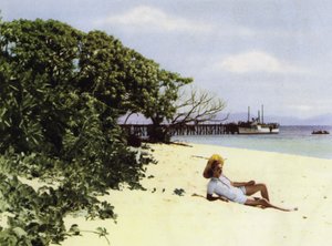 Queensland, Australia: La Playa Tropical