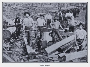 Trabajadores de la madera de Photographer Australian