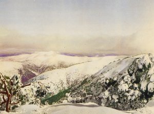 Invierno en los Alpes victorianos (foto a color) de Photographer Australian