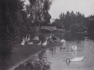 Lago, Beacon Hill Park, Victoria, Columbia Británica
