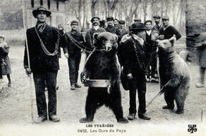 Espectáculos de osos en los Pirineos, c.1900 (foto b/n) de Photographer French