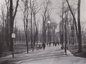 En el Tiergarten, Ahornsteig
