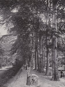 Im Tiergarten, Un Camino Sombrío de Photographer German
