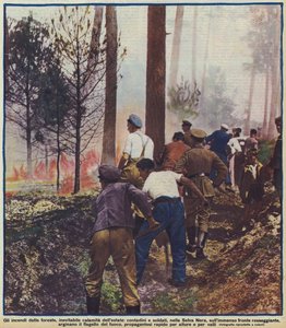 Campesinos y soldados combatiendo un incendio forestal en la Selva Negra, Alemania de Photographer German