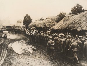 Prisioneros rusos cerca de Kiev de Photographer German