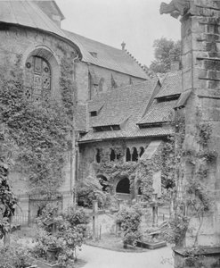 Rosenstock de mil años de Photographer German