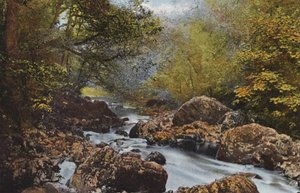 Irlanda: In The Dargle, County Wicklow (foto a color) de Photographer Irish