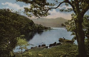 Irlanda del Sur: En Innisfallen, Killarney (foto a color)